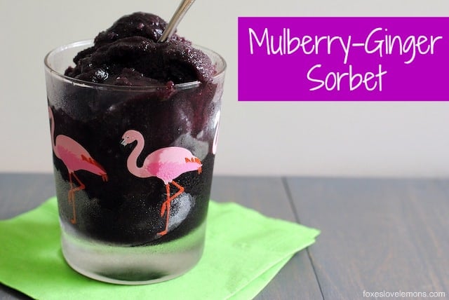 Mulberry-Ginger Sorbet - a refreshing summer dessert that uses the free berries growing in your yard! Can also be made with blackberries. | foxeslovelemons.com