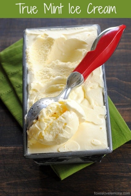 Homemade Vanilla Ice Cream Recipe - Love and Lemons