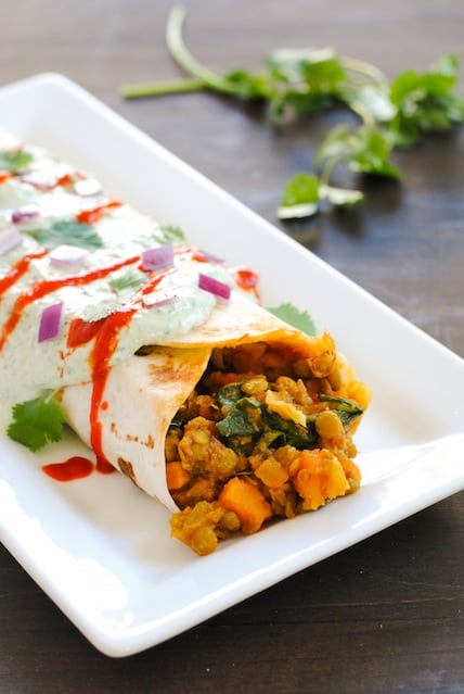 Big lentil burrito on rectangle shaped white plate, with cilantro in background.