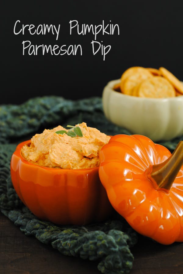 Creamy Pumpkin Parmesan Dip - A savory way to get some pumpkin goodness into your life. | foxeslovelemons.com