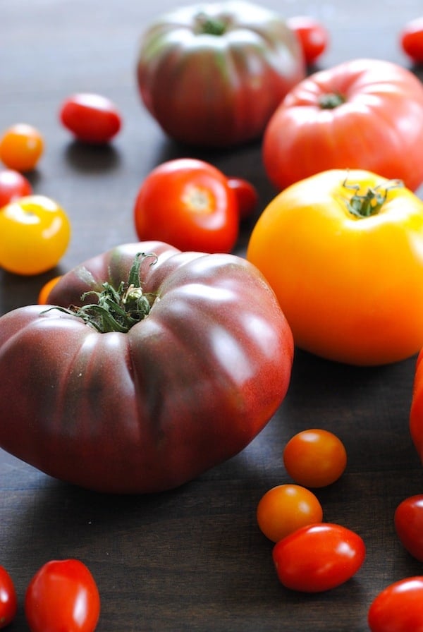 Heirloom Tomato Tart - A beautiful savory tart layered with a ricotta, blue cheese and fresh tomatoes. | foxeslovelemons.com