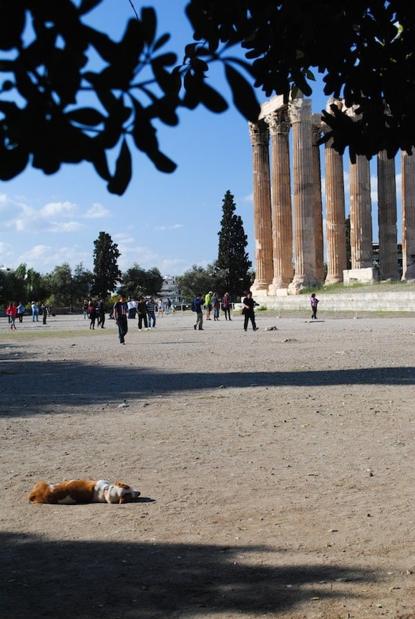 Athens, Greece | foxeslovelemons.com