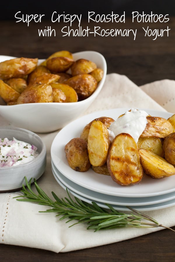 Super Crispy Roasted Potatoes with Shallot-Rosemary Yogurt - A simple technique for roasting potatoes that makes them SUPER crispy and delicious. Plus, a savory dipping sauce! | foxeslovelemons.com