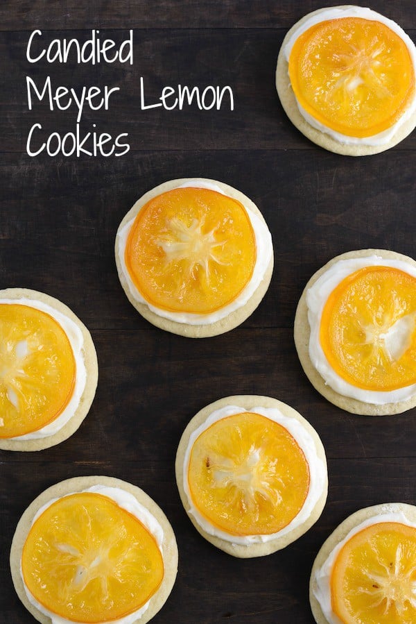 Candied Meyer Lemon Cookies - These cookies are a beautiful way to celebrate seasonal Meyer lemons! Ginger-spiced sugar cookies are topped with rich cream cheese frosting and decorated with a thin slice of candied lemon. | foxeslovelemons.com