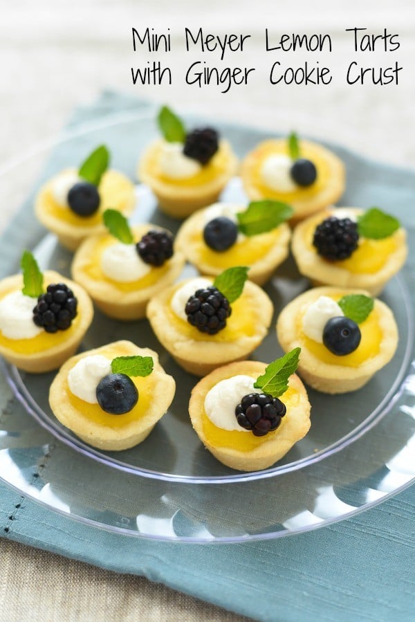 Mini Meyer Lemon Tarts with Ginger Cookie Crust - An adorable mini dessert perfect for baby and bridal showers, Easter, Mother's Day, or any Spring party! | foxeslovelemons.com