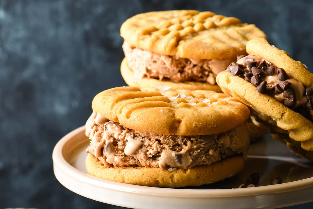 Salted Peanut Butter and Chocolate-Chocolate Chip Ice Cream Sandwiches-3 copy 2