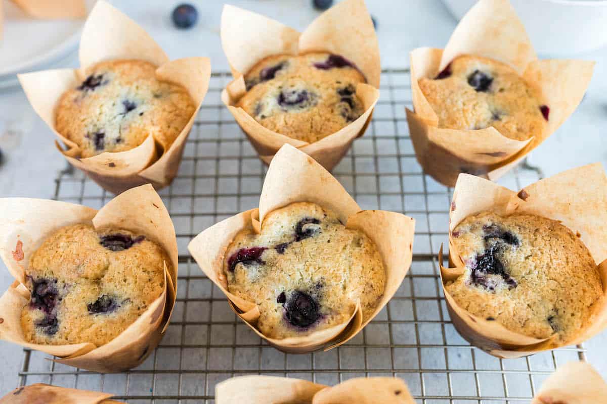 Buttermilk Blueberry Muffins Foxes Love Lemons