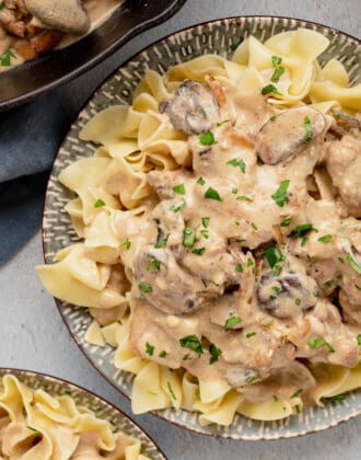 A plate filled with egg noodles topped with chicken stroganoff, garnished with parsley.