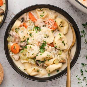 Black bowl filled with creamy chicken tortellini soup.
