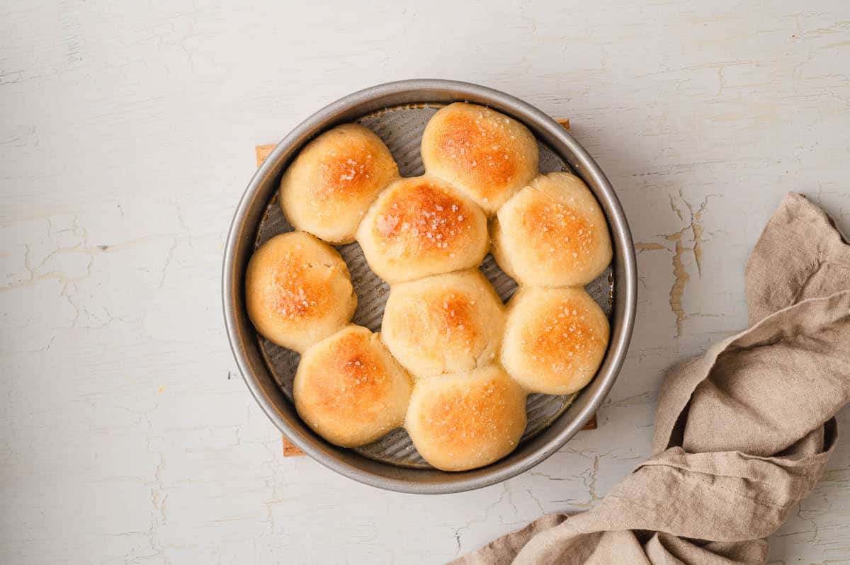 Homemade Yeast Rolls - Foxes Love Lemons
