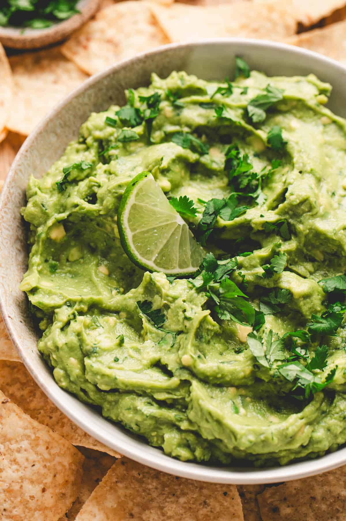 GUACAMOLE

タンクビキニ President's Choice Mini Authentic Guacamole - 228 g | Zehrs