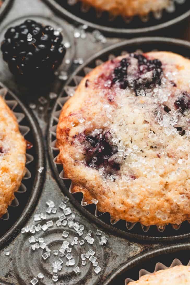 Closeup on blackberry muffins from scratch.