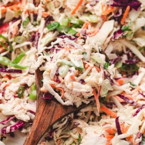 A spoon lifting a scoop of an apple coleslaw recipe.