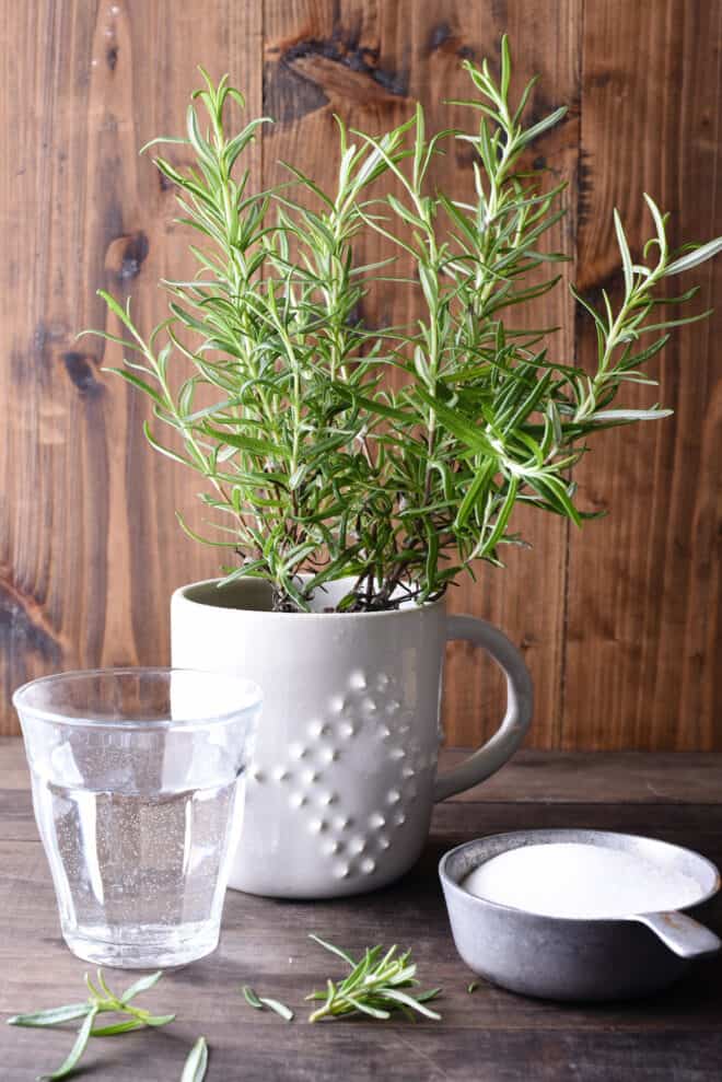 Rosemary Simple Syrup Recipe Foxes Love Lemons